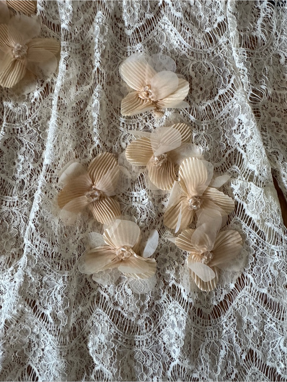 Sunday In Brooklyn Cream Lace 3D Flowers Floral Short Sleeve Blouse Shirt XXS - Picture 5 of 5